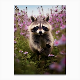 Cute Funny Tanezumi Raccoon Running On A Field Wild 1 Canvas Print