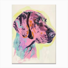 Colourful Watercolour Redbone Hound Dog Line Illustration 3 Canvas Print