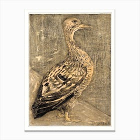 Standing Duck (1878–1909), Theo Van Hoytema Canvas Print