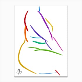 Rainbow 1 Canvas Print
