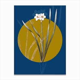 Vintage Botanical Primrose Peerless on Circle Yellow on Blue Canvas Print
