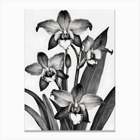 Catasetum Orchids Ink 1 Canvas Print