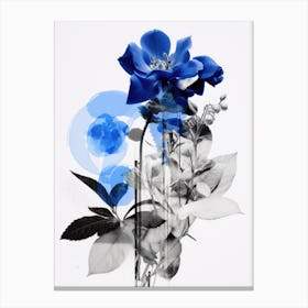 Blue Roses 1 Canvas Print