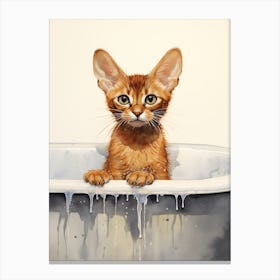 Abyssinian Cat In Bathtub Bathroom 2 Canvas Print
