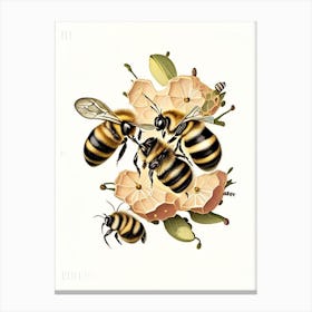 Colony Bees 3 Vintage Canvas Print