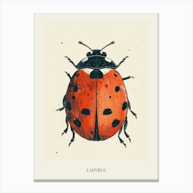 Colourful Insect Illustration Ladybug 21 Poster Canvas Print