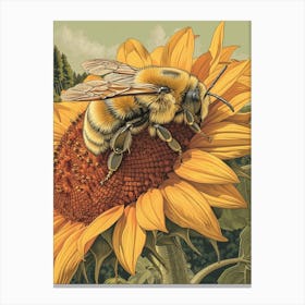 Leafcutter Bee Storybook Illustration 6 Canvas Print