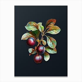 Vintage Cherry Plum Botanical Watercolor Illustration on Dark Teal Blue n.0826 Canvas Print