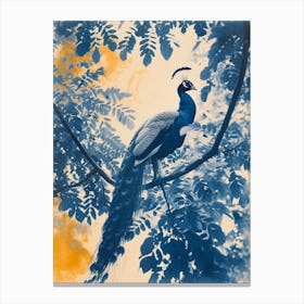 Orange & Blue Peacock In The Trees 2 Canvas Print