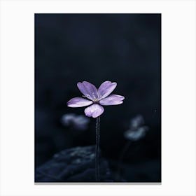 Single Purple Flower Canvas Print