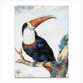 Illustrated Vintage Bird Art Print_2835697 Canvas Print