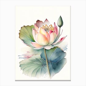 Lotus Flower In Garden Watercolour Ink Pencil 2 Canvas Print