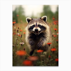 Cute Funny Cozumel Raccoon Running On A Field Wild 4 Canvas Print