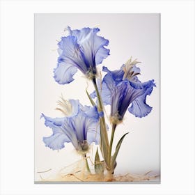 Pressed Wildflower Botanical Art Fringed Gentian 2 Canvas Print