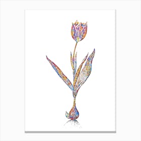 Stained Glass Tulip Mosaic Botanical Illustration on White n.0330 Canvas Print