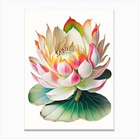 Amur Lotus Decoupage 4 Canvas Print