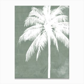 Palm Tree in Sage Green, Tropical Botanical, Beachy Canvas Print