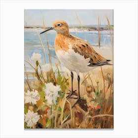 Bird Painting Dunlin 1 Canvas Print