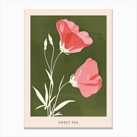 Pink & Green Sweet Pea 1 Flower Poster Canvas Print