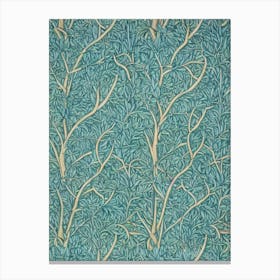 Bristlecone Pine 1 tree Vintage Botanical Canvas Print