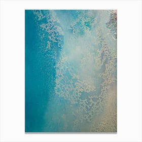 Shallow Waters 3 Canvas Print