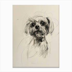 Maltese Dog Charcoal Line 1 Canvas Print