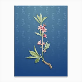 Vintage Pink Flower Botanical on Bahama Blue Pattern n.0021 Canvas Print