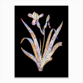 Stained Glass Hungarian Iris Mosaic Botanical Illustration on Black n.0288 Canvas Print