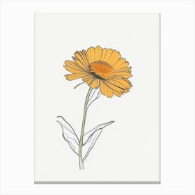 Calendula Floral Minimal Line Drawing 1 Flower Canvas Print