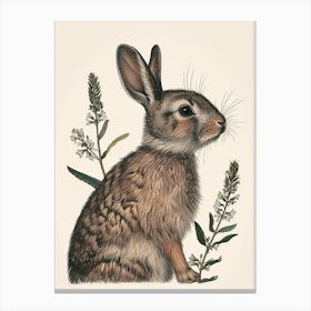 Blanc De Hotot Blockprint Rabbit Illustration 7 Canvas Print
