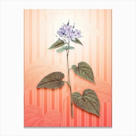 Morning Glory Flower Vintage Botanical in Peach Fuzz Awning Stripes Pattern n.0278 Canvas Print