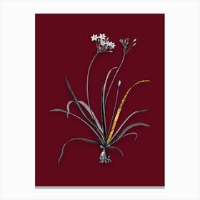 Vintage Allium Fragrans Black and White Gold Leaf Floral Art on Burgundy Red n.0285 Canvas Print