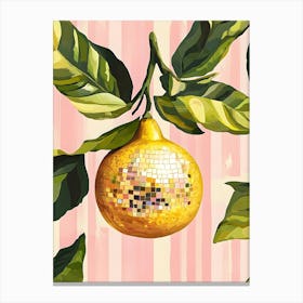 Apricot Canvas Print