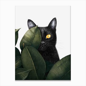 Black Cat In Ficus Canvas Print