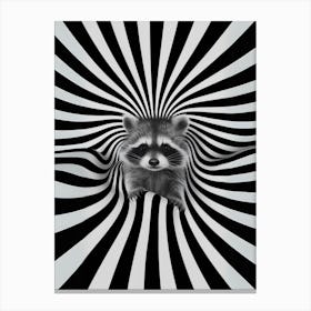 Raccoon In A Vortex Canvas Print