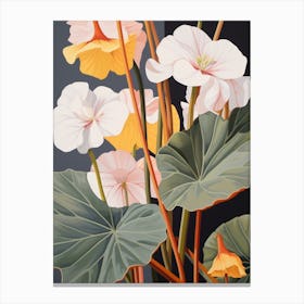 Flower Illustration Nasturtium 2 Canvas Print