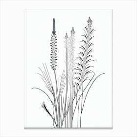 Horsetail Herb William Morris Inspired Line Drawing 2 Canvas Print