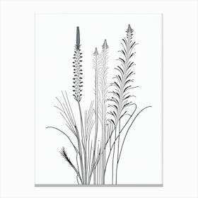 Horsetail Herb William Morris Inspired Line Drawing 2 Lienzos