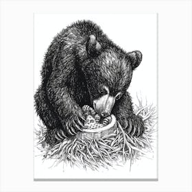 Malayan Sun Bear Cub Playing With A Beehive Ink Illustration 2 Lienzos