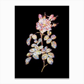 Stained Glass Four Seasons Rose in Bloom Mosaic Botanical Illustration on Black n.0038 Canvas Print