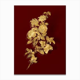 Vintage Germander Meadowsweet Botanical in Gold on Red n.0521 Canvas Print