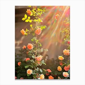 Roses In The Garden 3 Canvas Print