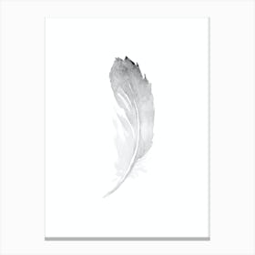 Grey Feather 1 Canvas Print