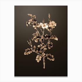 Gold Botanical Prickly Sweetbriar Rose on Chocolate Brown n.4803 Canvas Print