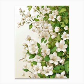 White Flowers On A Branch Canvas Print