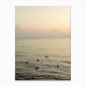 Birds at Sunset | Croatia Travel Photography Canvas Print