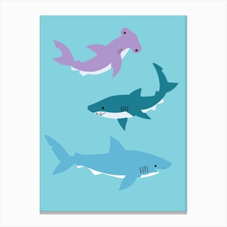 Sharks Canvas Print