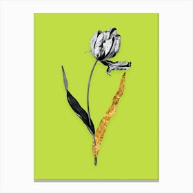 Vintage Didiers Tulip Black and White Gold Leaf Floral Art on Chartreuse n.0746 Canvas Print
