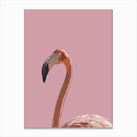 Flamingo pink Canvas Print