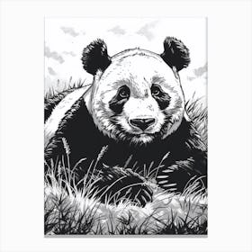Giant Panda Resting In A Field Ink Illustration 4 Canvas Print